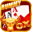 khelplay rummy